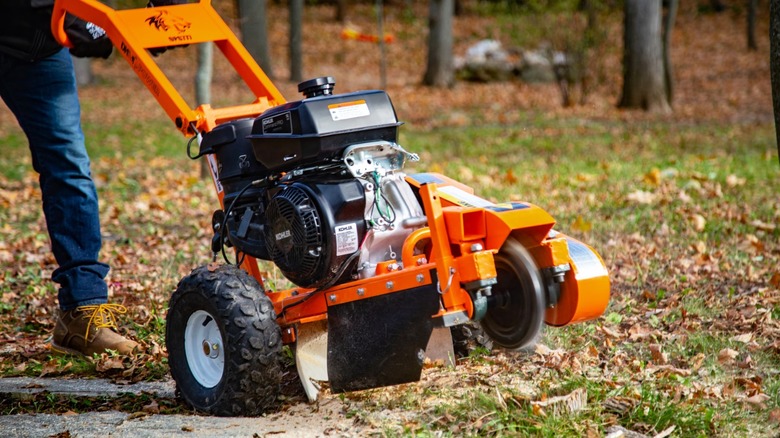 Stump Grinder in use