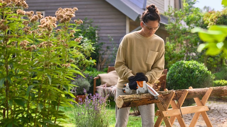 Homeowner using a Stihl GTA 30 garden pruner