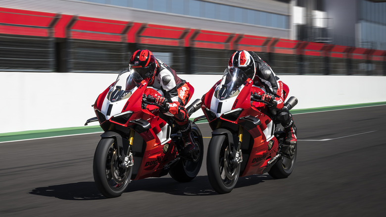 Racing Ducatis