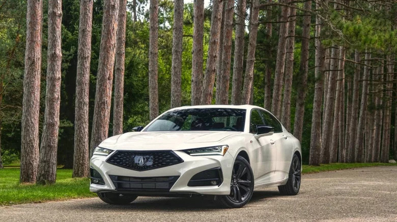 Acura TLX in the woods