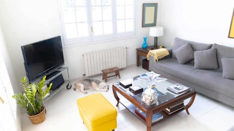 A TV in the corner of the room