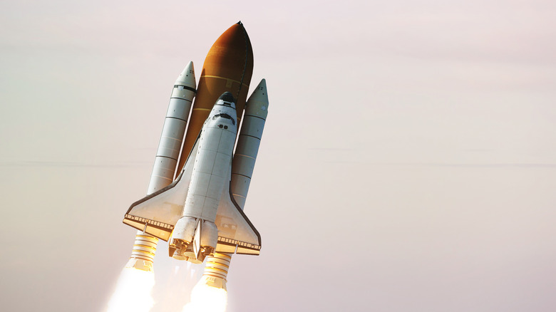 The Space Shuttle in flight