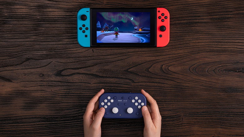 8BitDo accessibility controller nintendo switch
