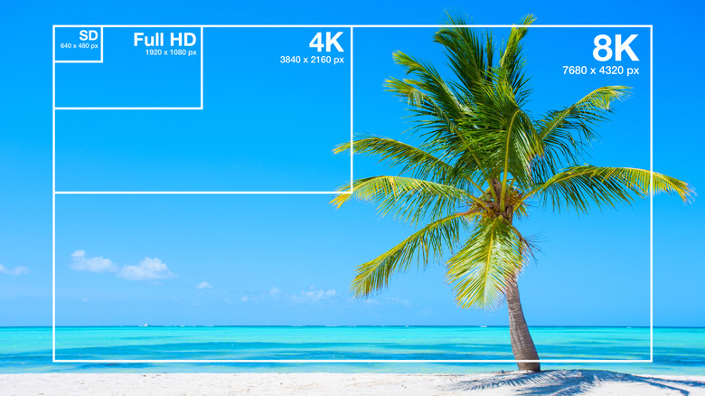 A comparison of four different monitor sizes varying from standard definition, to full hd, to 4k, to 8k, with a beach scene in the back.