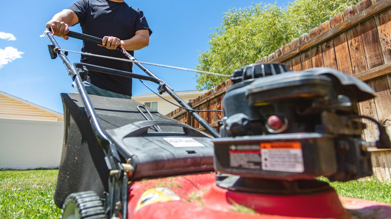 closeup of a lawn mower in action