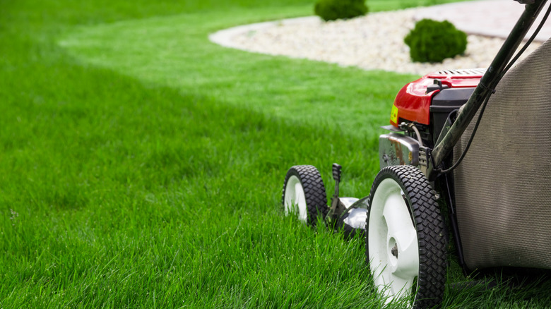 lawn mower sitting in grass with one mowed strip