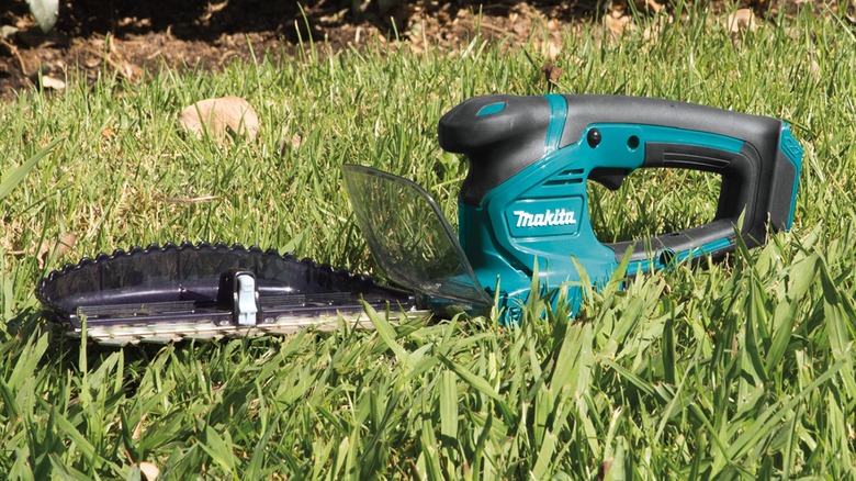 Using Makita trimmer to cut grass.