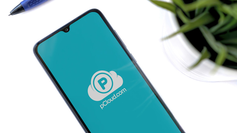 Smartphone with pCloud logo with a pen and plant in the background