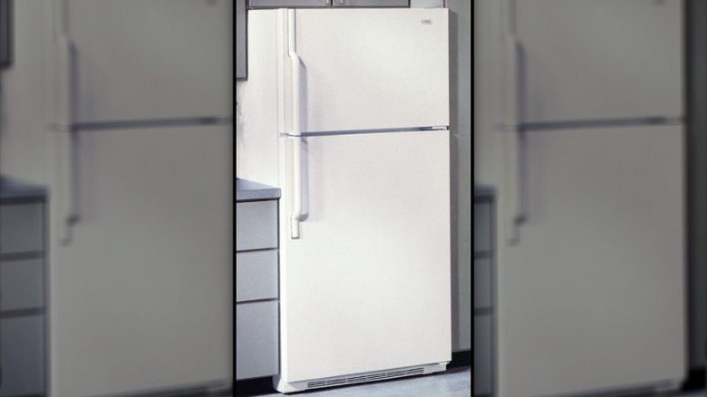 A white top freezer refrigerator