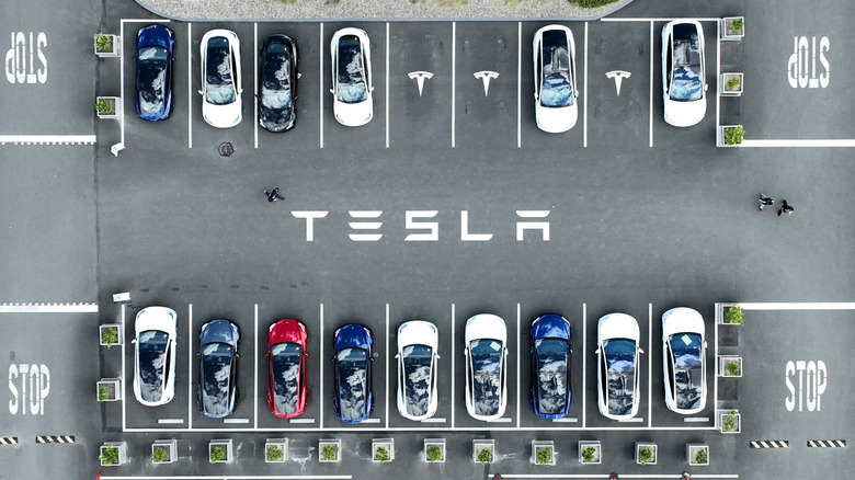 tesla cars on charging lot