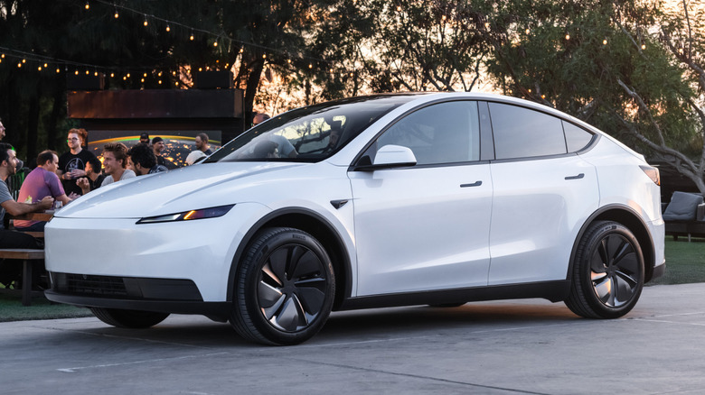 2025 Tesla Model Y Standard at a party