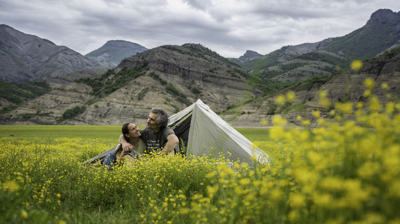 people camping in a field