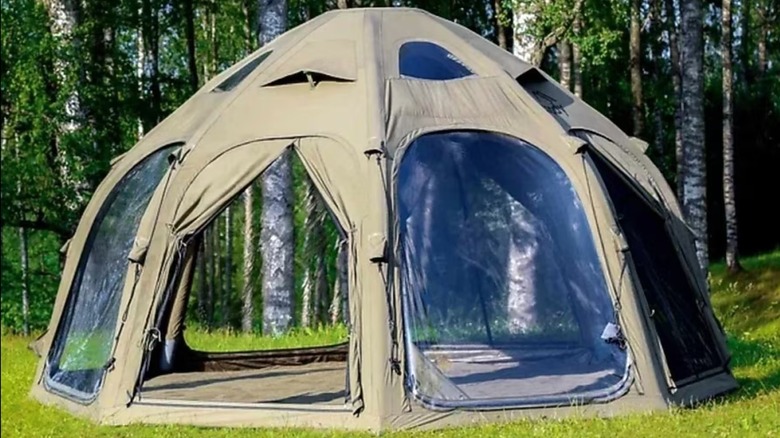 Coody 4-person tent set up on grass near trees