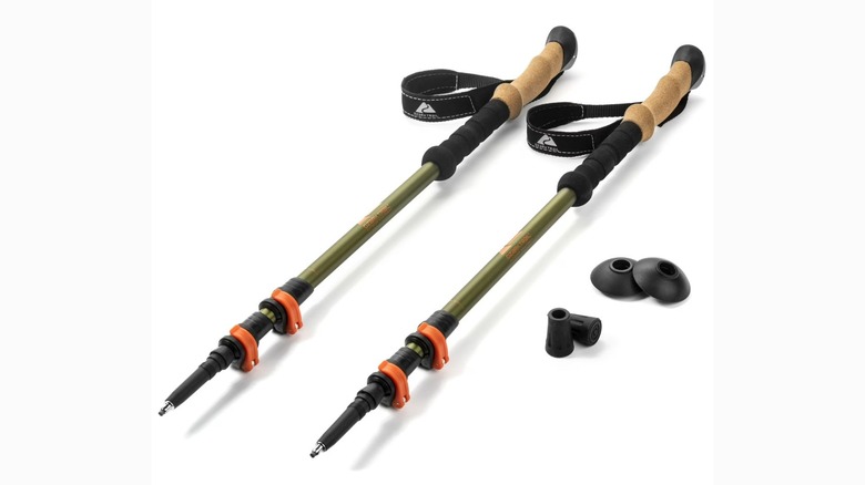 A pair of trekking poles