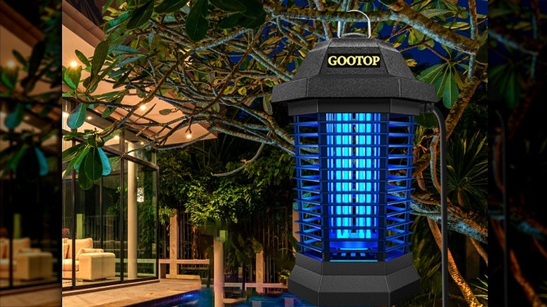 Gootop bug zapper hanging from a tree branch outside a house.