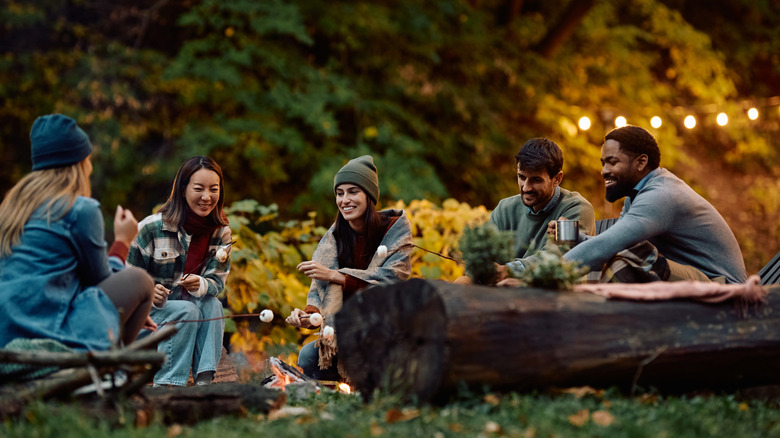 friends on a camping trip