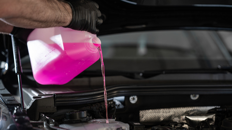 A person pouring pink fluid into the engine.