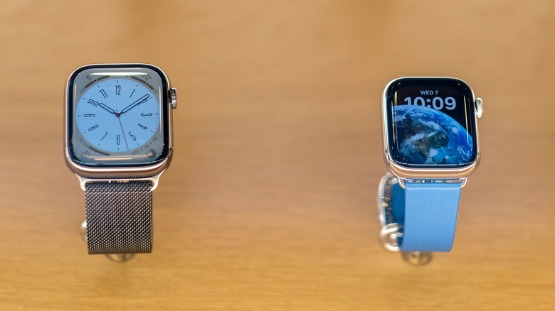 Apple Watch 8 Stainless Steel