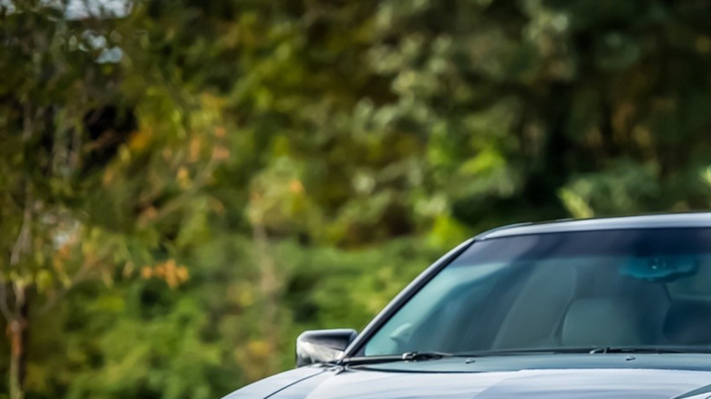 Black Cadillac CTS-V front three quarter shot with shrubs in background