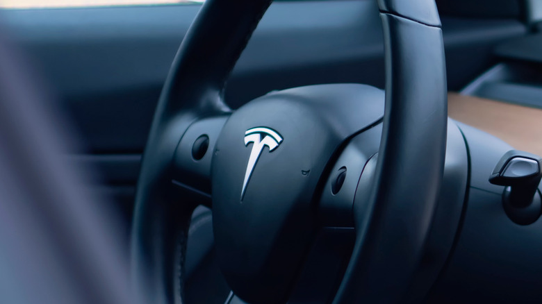 Tesla Model Y's self driving feature