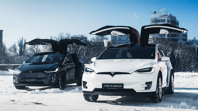 two Tesla cars parked snow