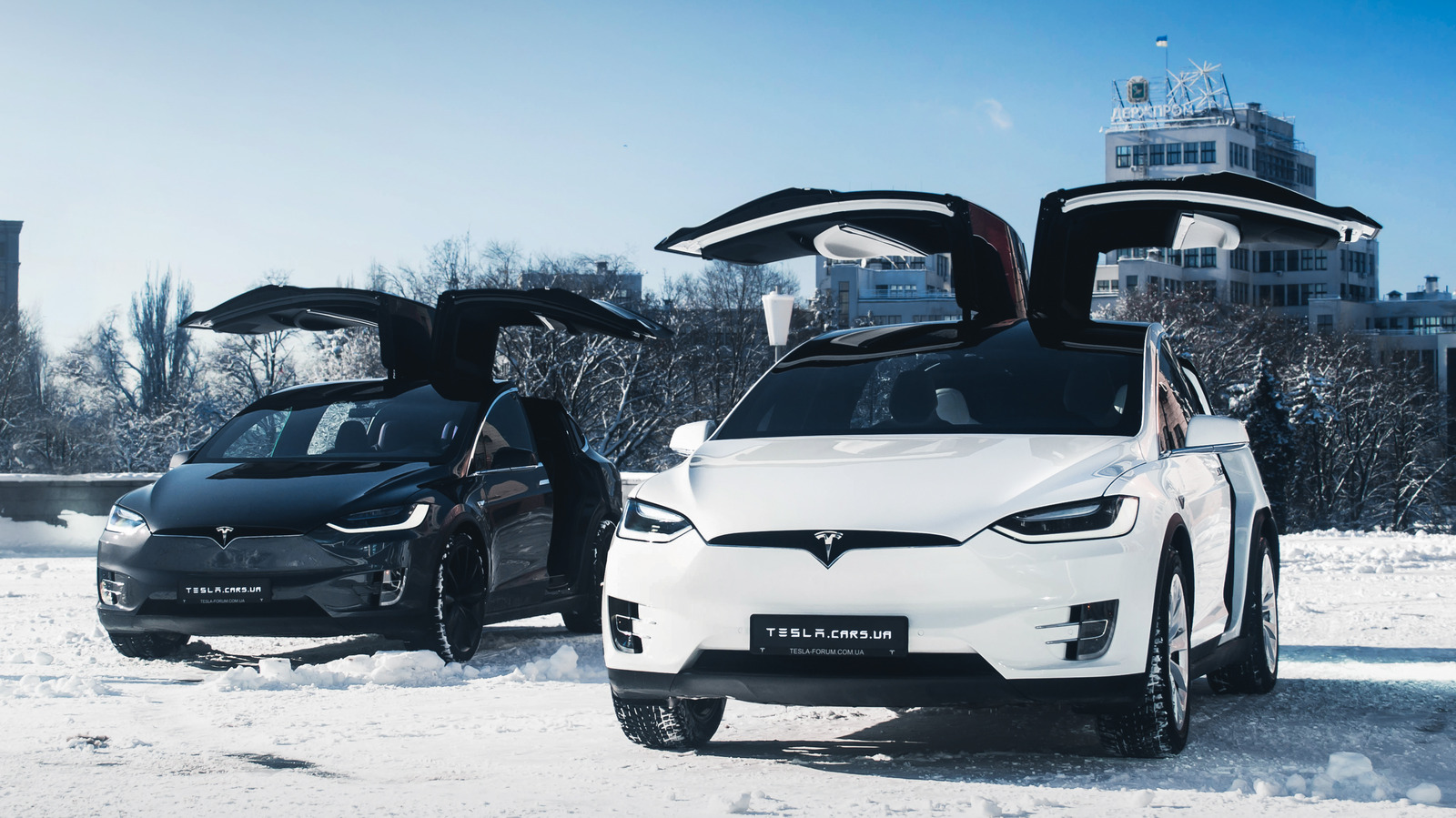 A New Tesla Just Got Cheaper Again