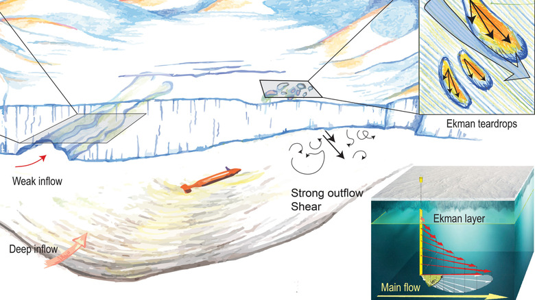 Sketch showing the processes discussed in the paper