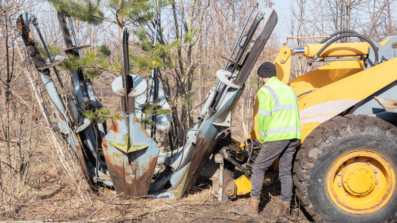 Workers using a hydraulic tree spade for a tree transplant