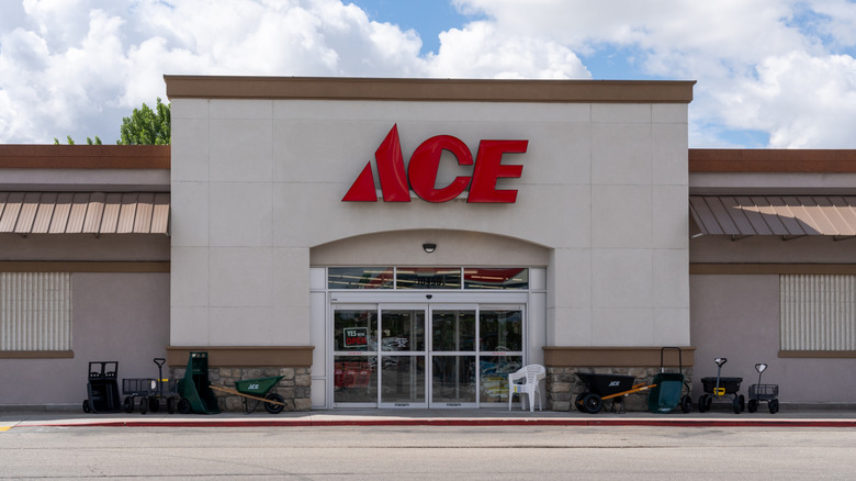 An Ace Hardware store in Boise, Idaho