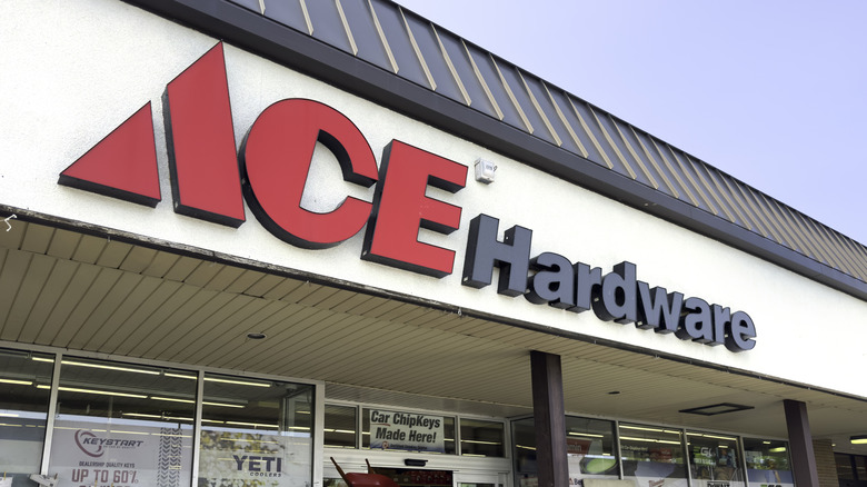 Exterior of an Ace Hardware store in Oak Brook, Illinois