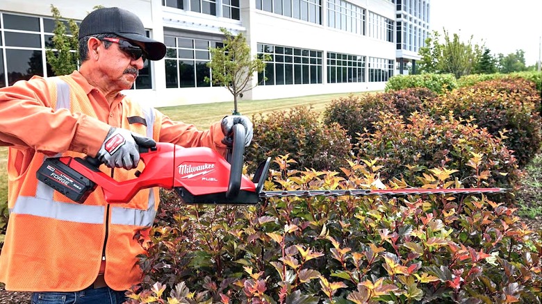 Man cutting hedges with Milwaukee hedge trimmer