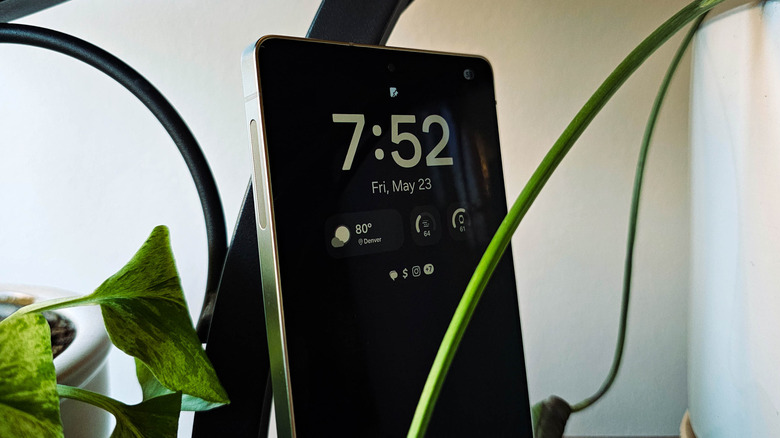 Samsung Galaxy S25 Ultra posed with plants
