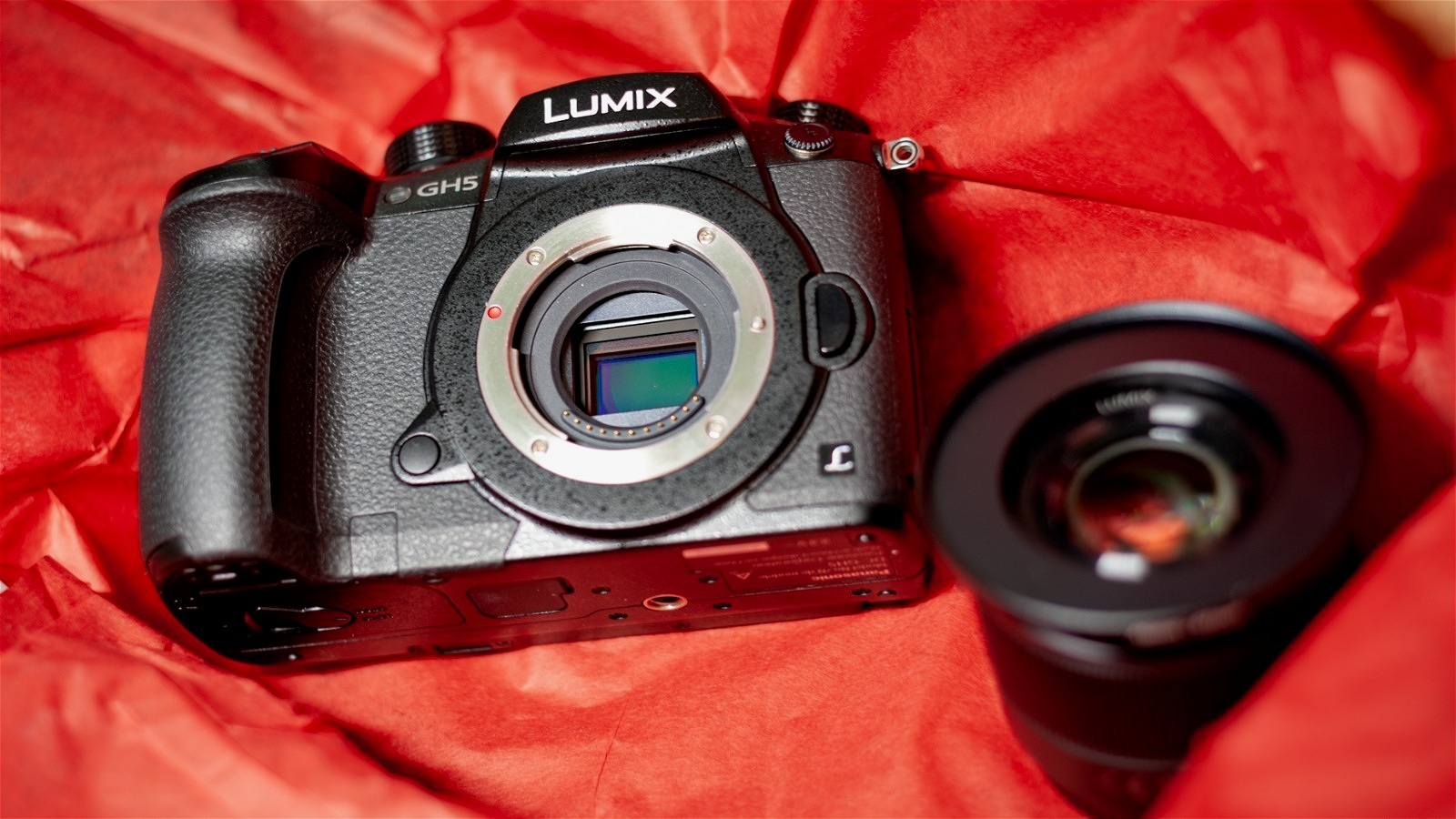 Is It Worth Buying a Mirrorless Camera?
