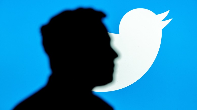 Silhouette of Elon Musk against Twitter logo. 