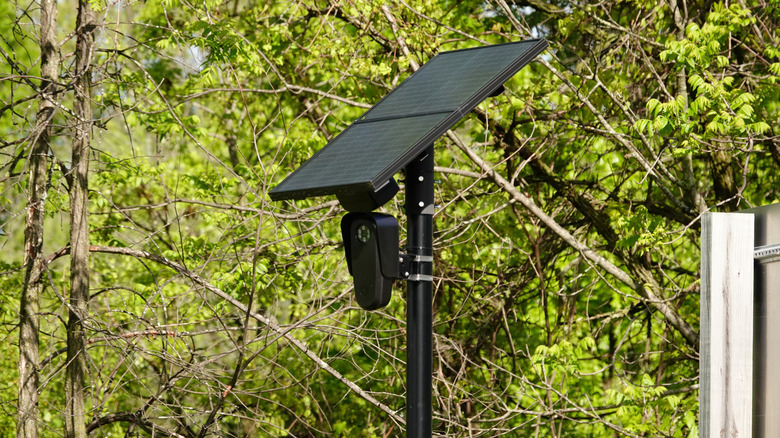 Flock camera in wooded area