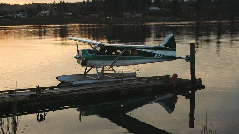 Beaver at the dock at sunset