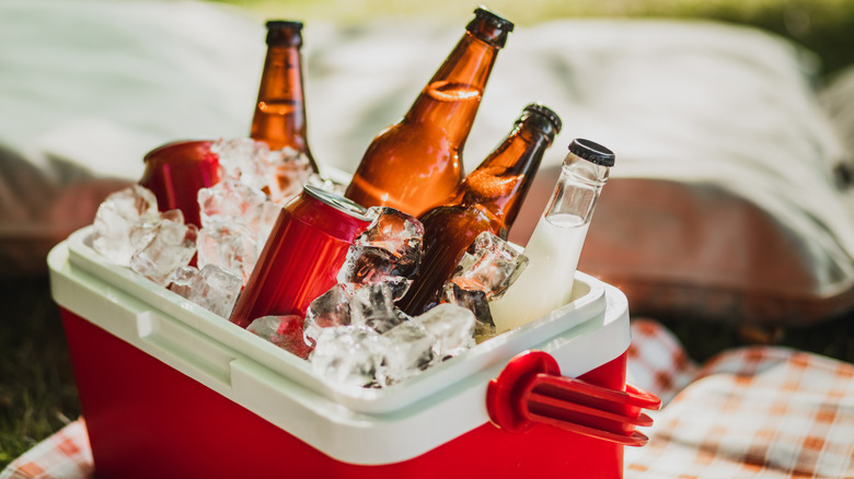 Beers and soda inside a cooler full of ice.