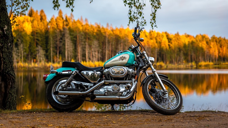 Harley-Davidson Sportster 1200