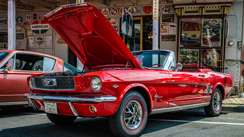 a 1966 Ford Mustang with its hood up at a car show