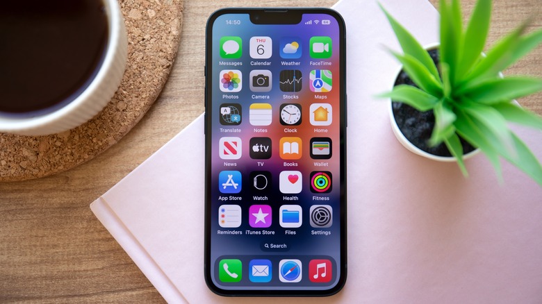 iPhone home screen