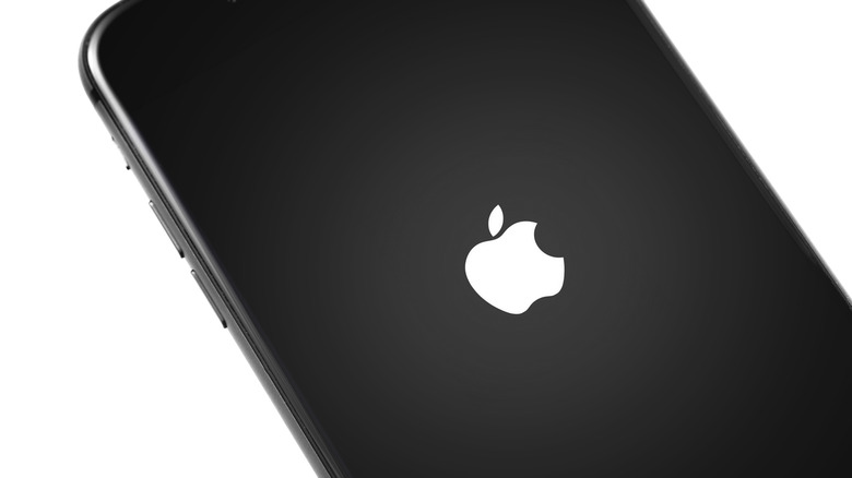 iPhone on reboot screen