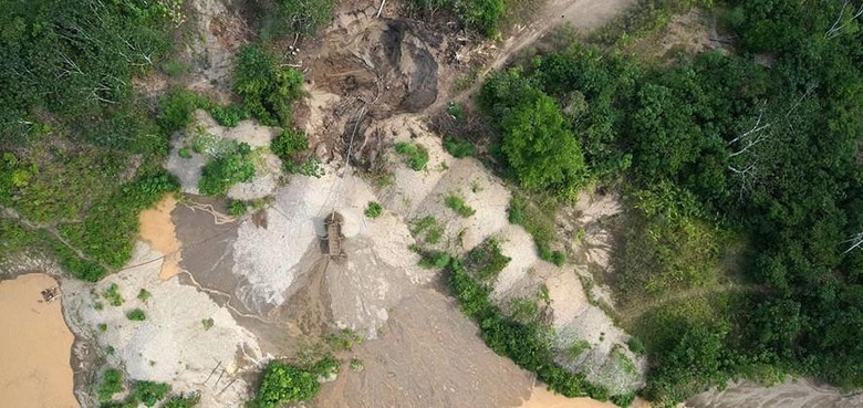 Amazon conservation group use drones to fight rain forest logging