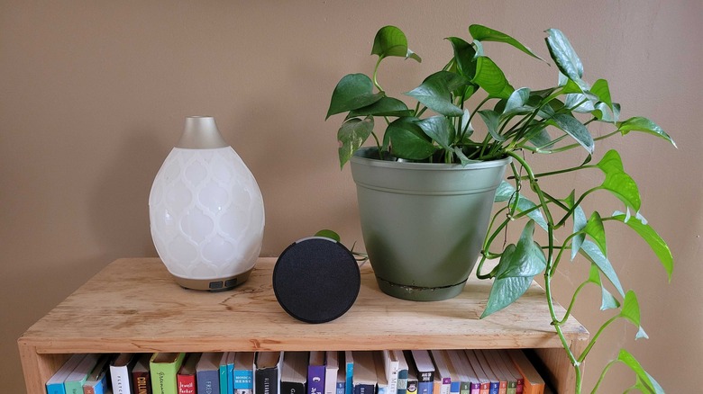 Amazon Echo Pop on a book case