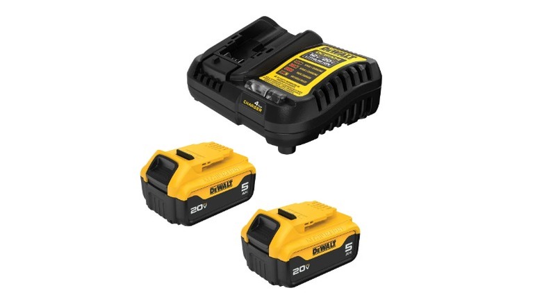 DeWalt 20V Max 5.0Ah Battery Two Pack with Charger on white background
