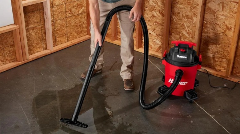 A person using a Harbor Freight bauer 6-gallon shop vac