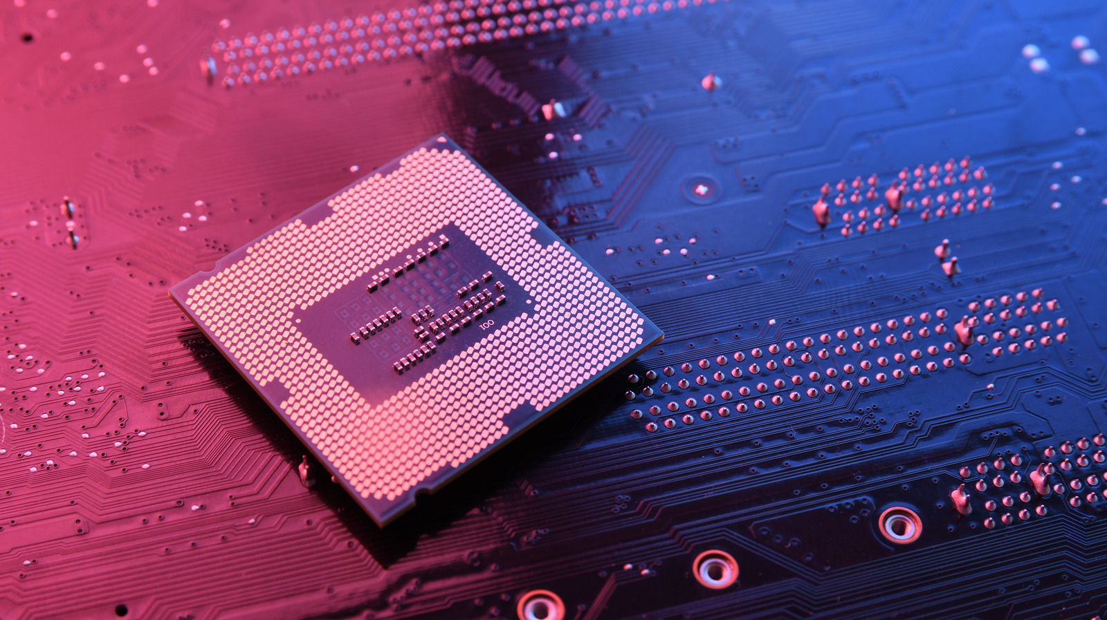 (Who Makes The Better CPU For Gaming In 2024?) Melbet