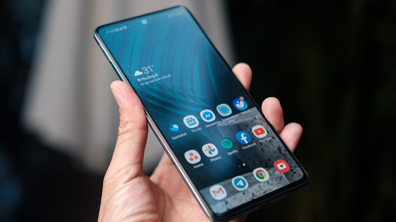 AMOLED display screen