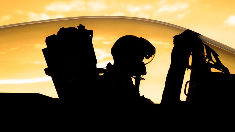 A pilot in an F-15 Eagle cockpit silhouetted against the setting sun