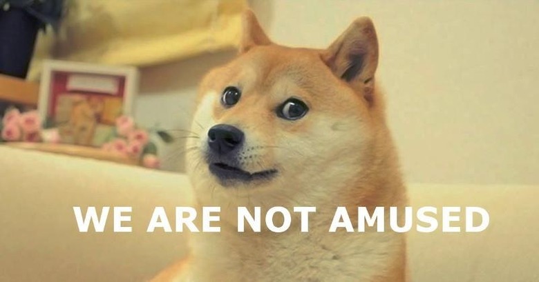 doge-not-amused