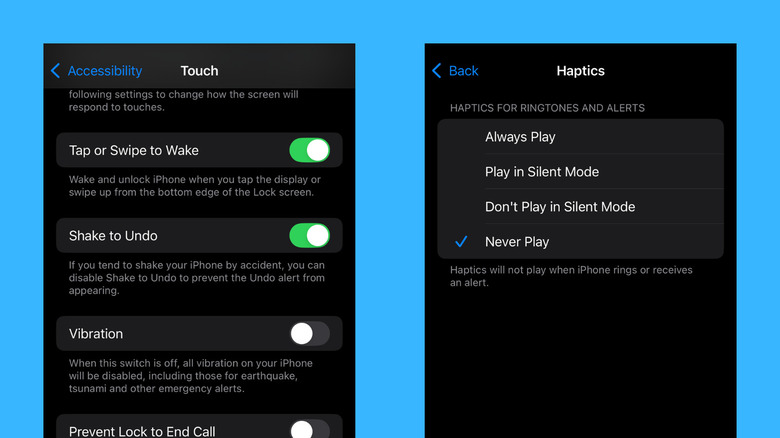 iPhone settings for turning off vibrations